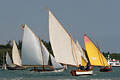 Regata della vela al terzo - Venezia 2005 - Fichier numerique