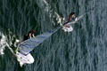 Kites surf 02 - Fichier numerique