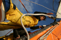 A bord du maxi catamaran Orange - Fichier numerique