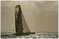 TJV 2007 Suivi en mer Gitana 11  - Fichier numerique