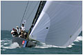 Maktoum Sailing Trophy  - Fichier numerique